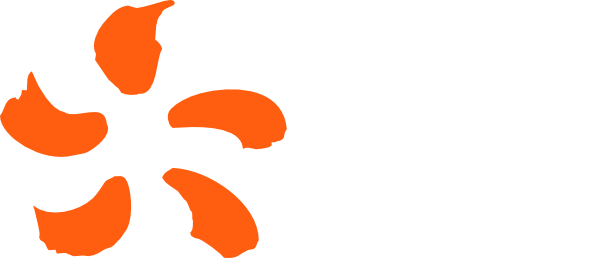 EDF Standard Logo