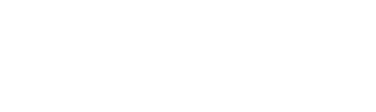 sse_logo_white